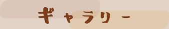 ギャラリー